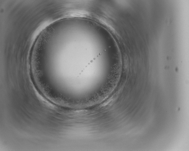 X0000073901471200608111118