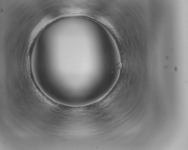 X0000073901472200608111118