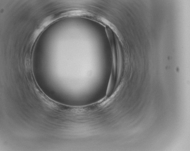 X0000073901473200608111118