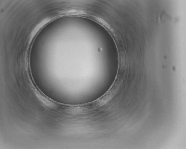 X0000073901474200608111118