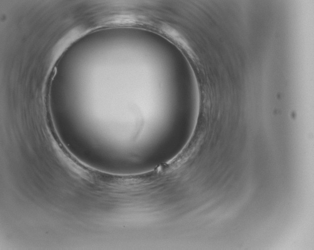 X0000073901475200608111118