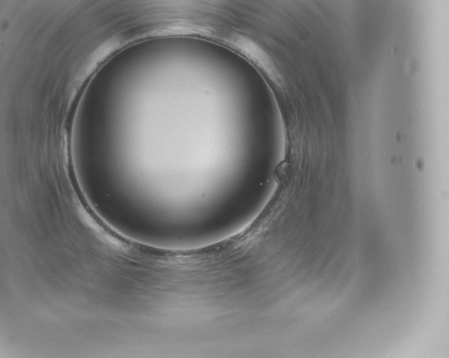 X0000073901476200608111118