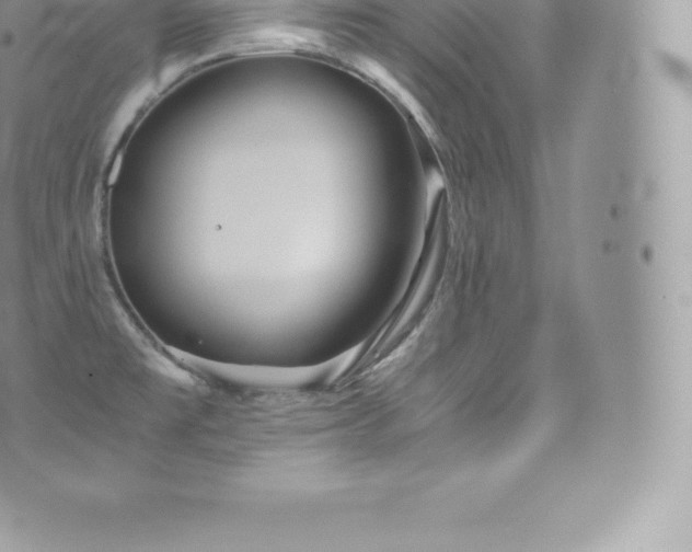 X0000073901477200608111118