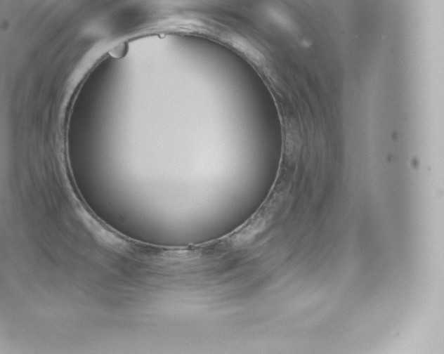 X0000073901478200608111118