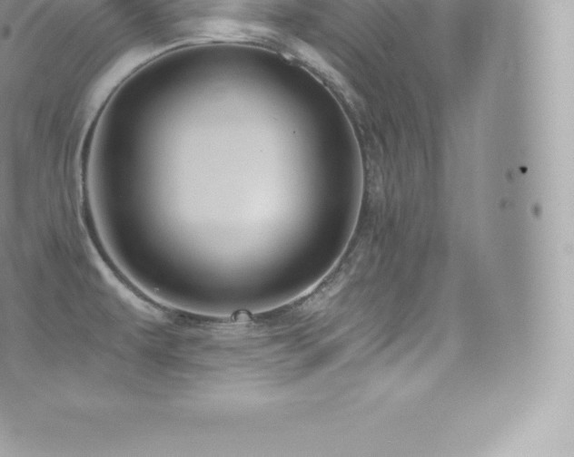 X0000073901479200608111118