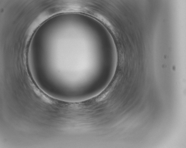 X0000073901480200608111117