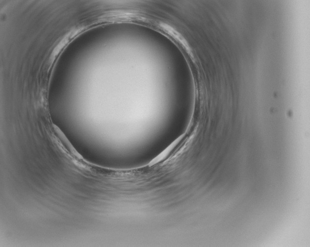 X0000073901481200608111117