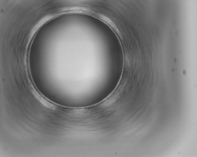 X0000073901482200608111117