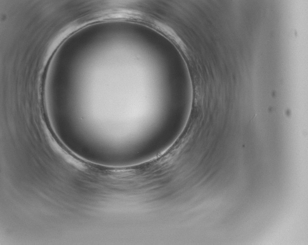 X0000073901483200608111117