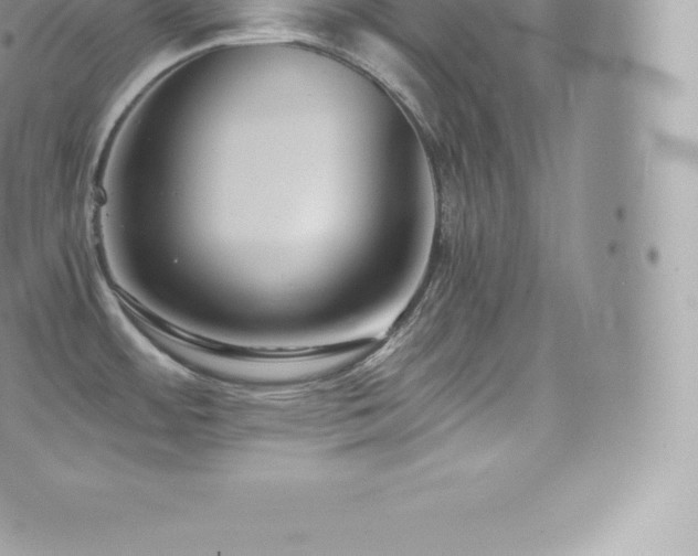 X0000073901484200608111117