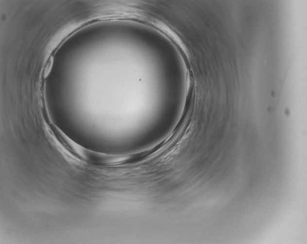 X0000073901485200608111117