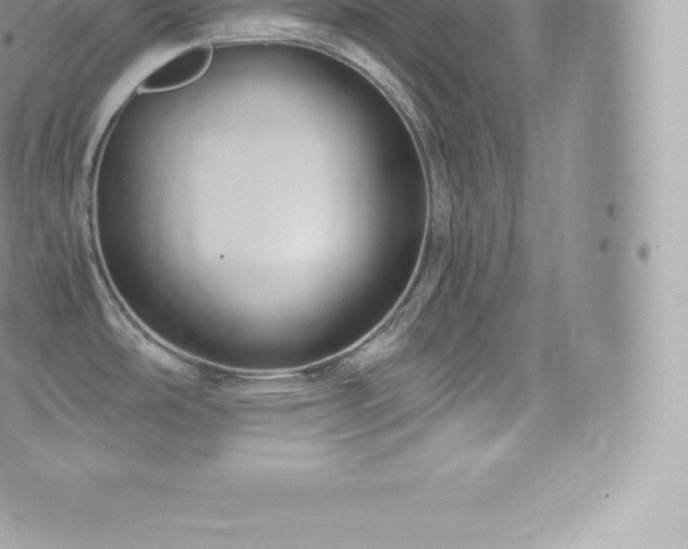 X0000073901486200608111117