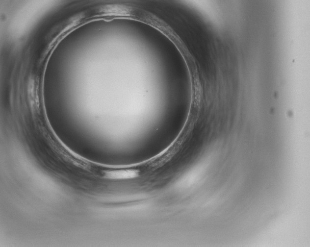 X0000073901487200608111117