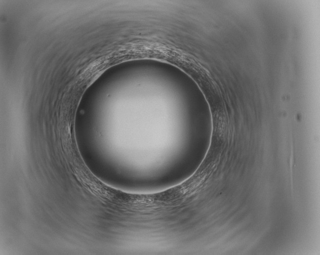 X0000073901489200608111117