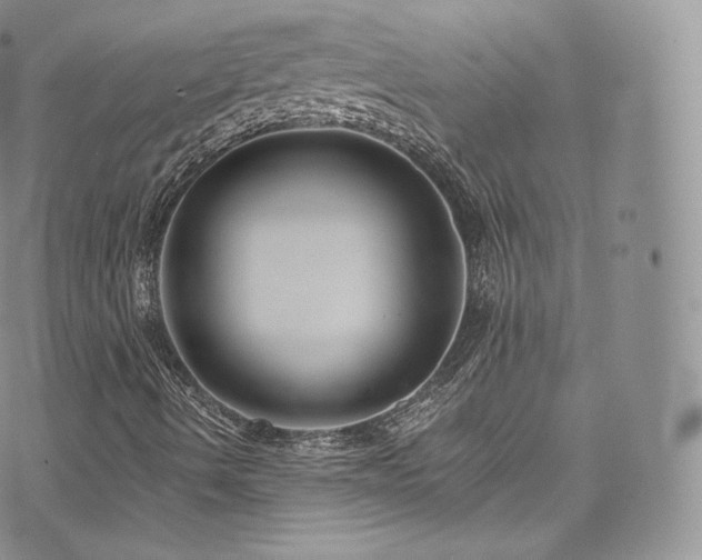 X0000073901490200608111117