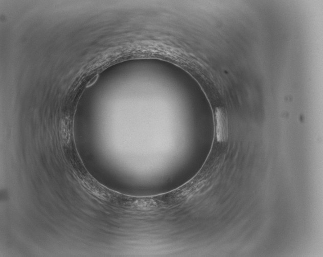 X0000073901491200608111117