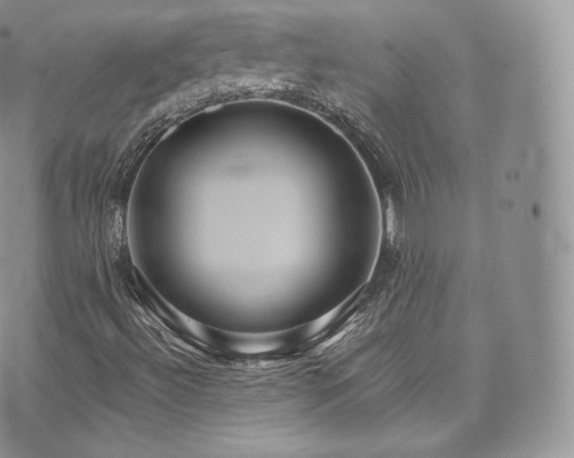 X0000073901492200608111117