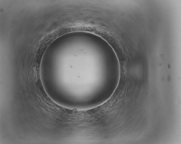 X0000073901493200608111117