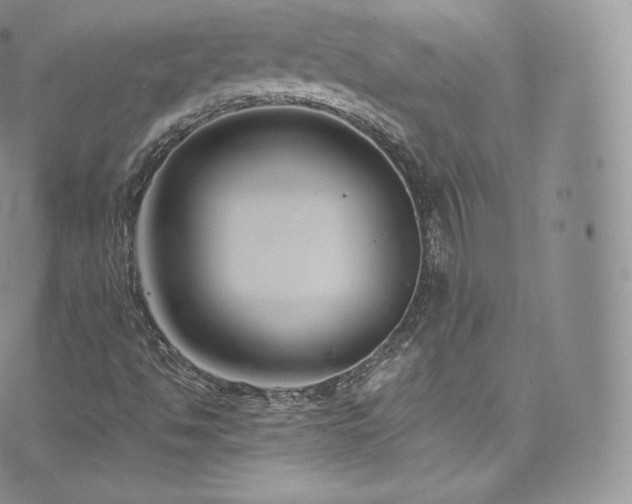 X0000073901494200608111117