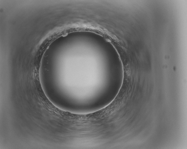 X0000073901495200608111117