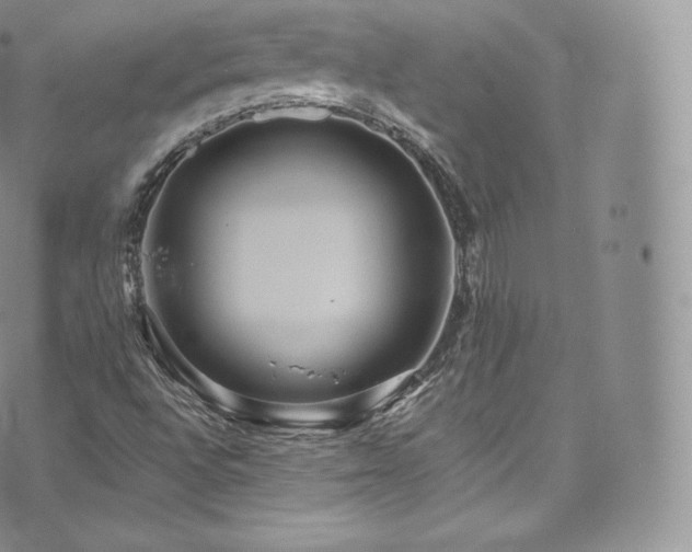 X0000073901496200608111117