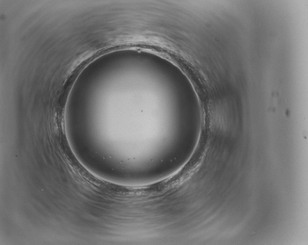 X0000073901497200608111117