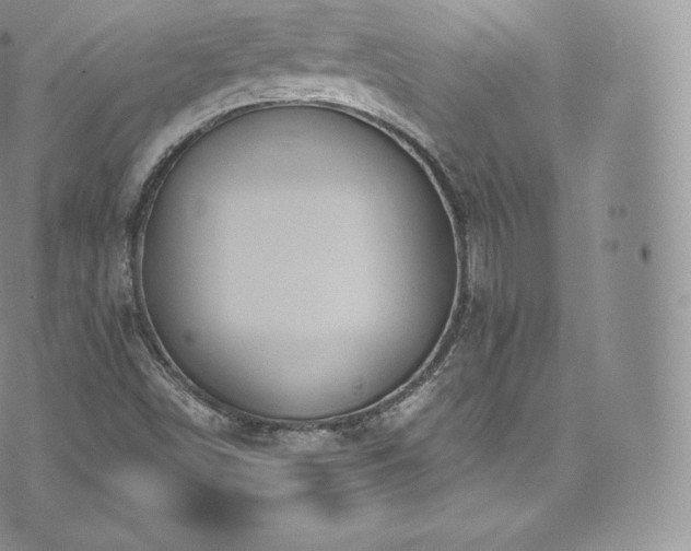 X0000073901498200608111117