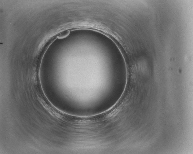 X0000073901499200608111117