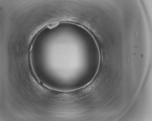 X0000073901500200608111117