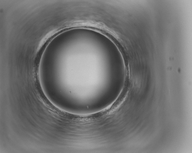 X0000073901501200608111117