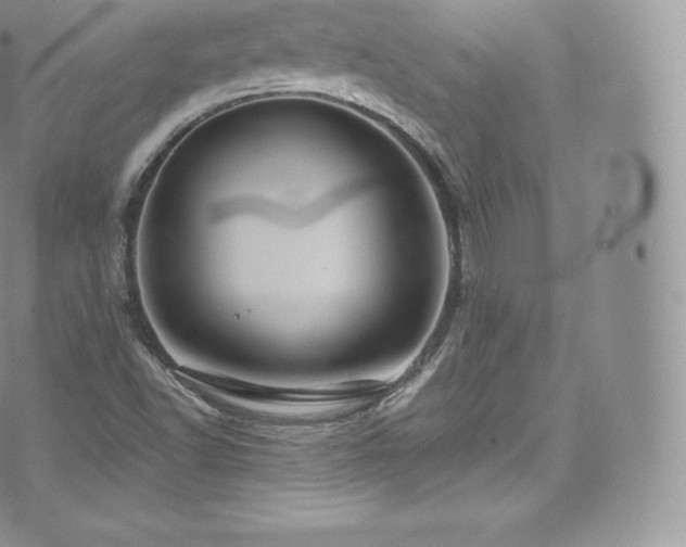 X0000073901502200608111117