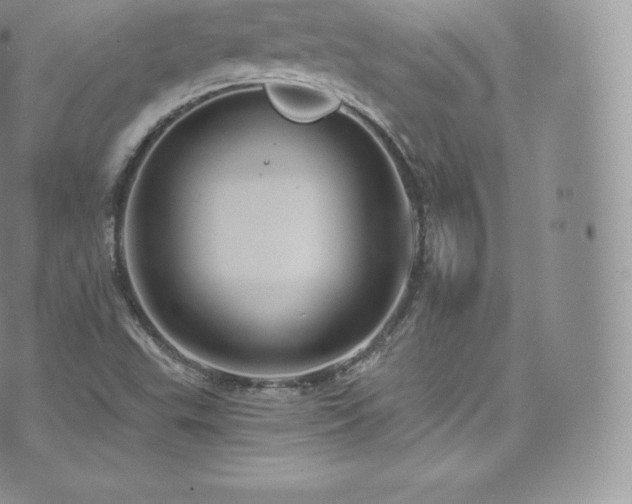 X0000073901503200608111117