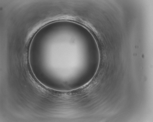 X0000073901504200608111117