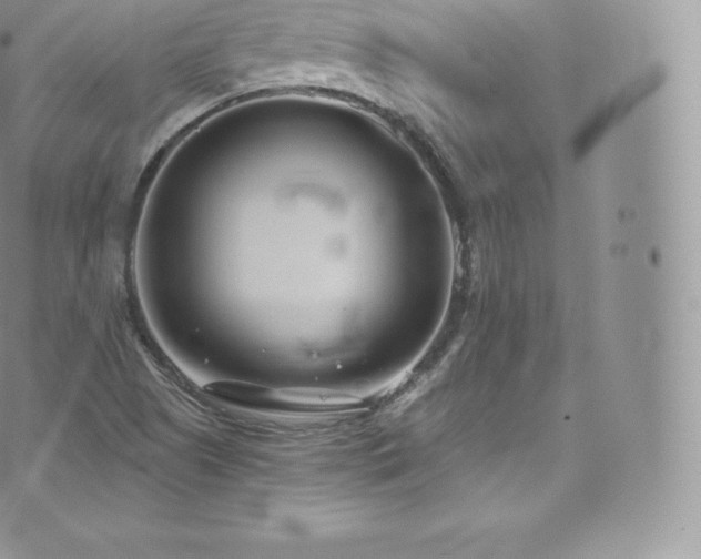 X0000073901505200608111117