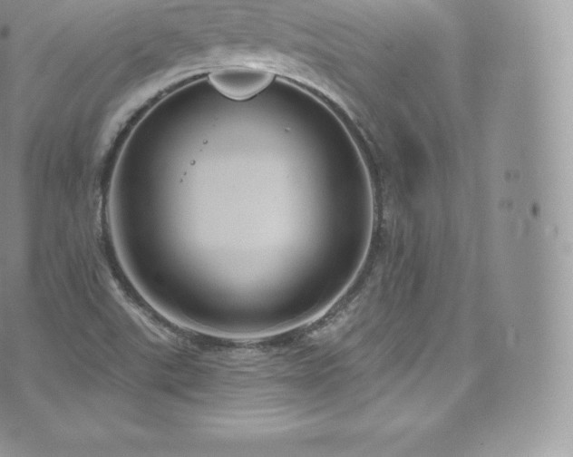 X0000073901507200608111117