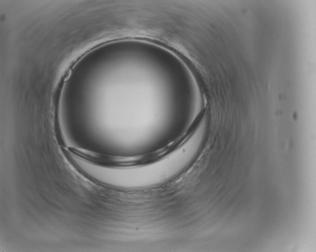 X0000073901508200608111117