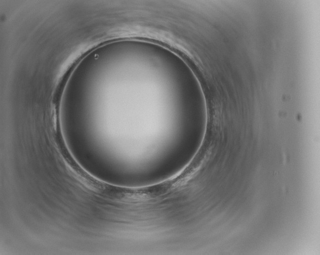 X0000073901509200608111117