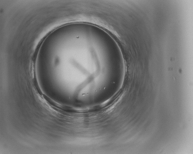 X0000073901510200608111117