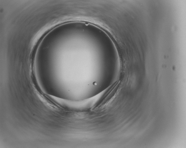 X0000073901511200608111117