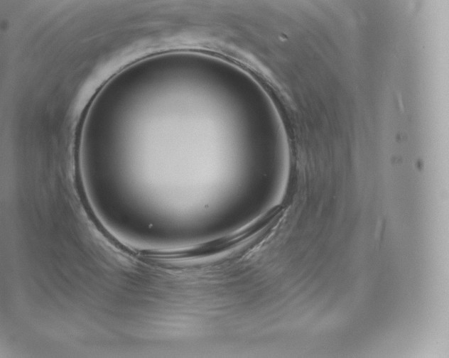 X0000073901512200608111117