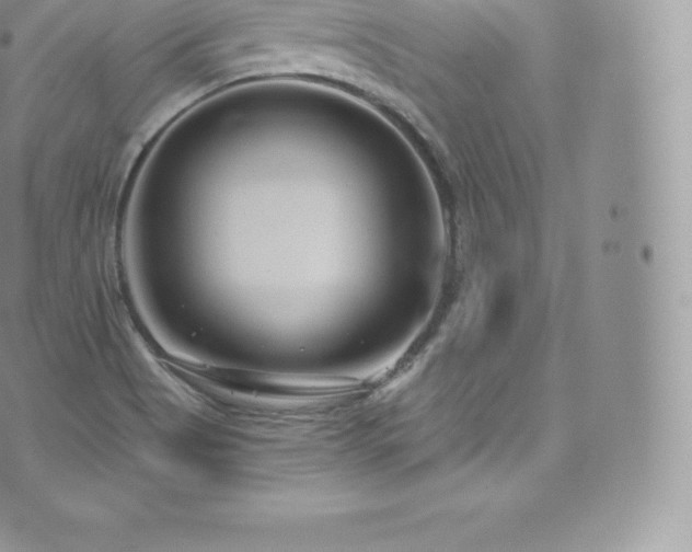 X0000073901513200608111117