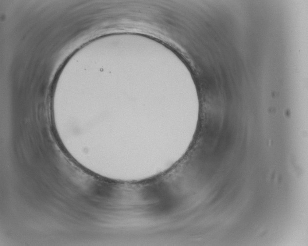 X0000073901514200608111117