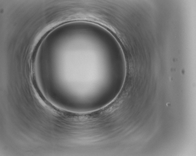 X0000073901515200608111117