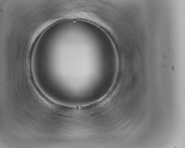 X0000073901517200608111117