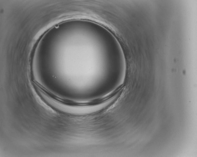 X0000073901518200608111117