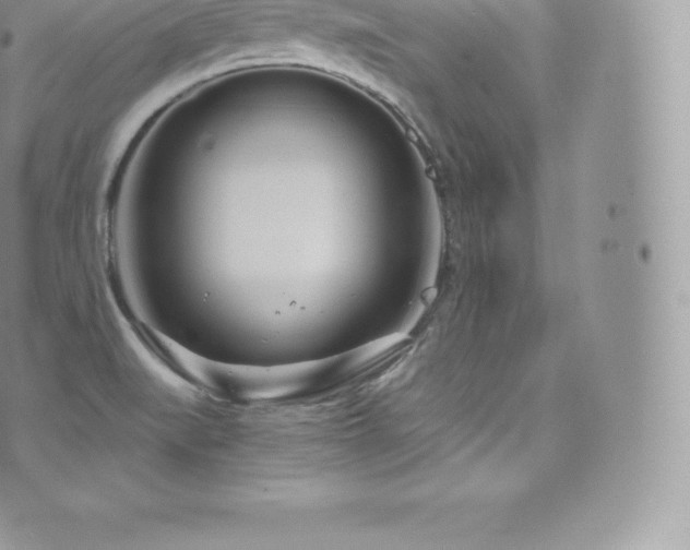 X0000073901519200608111117