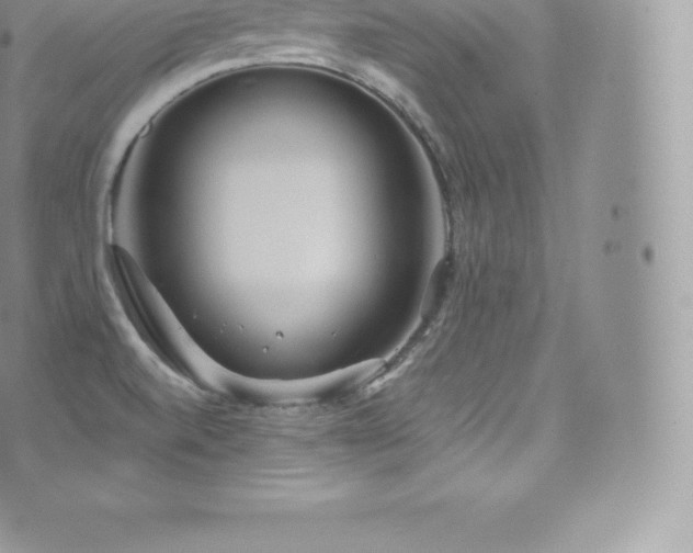 X0000073901520200608111117