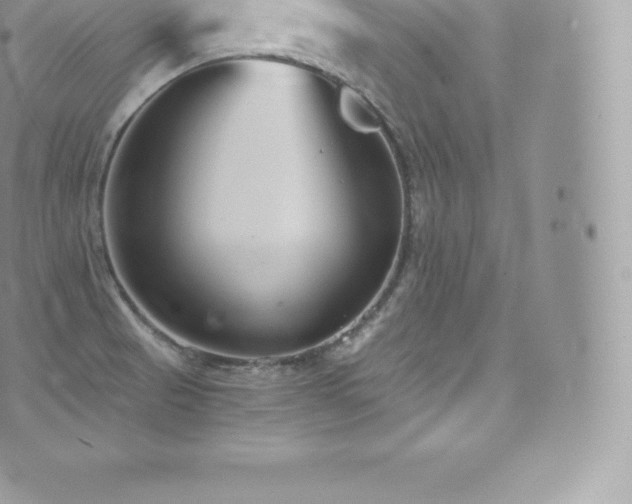 X0000073901521200608111117