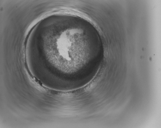 X0000073901522200608111117