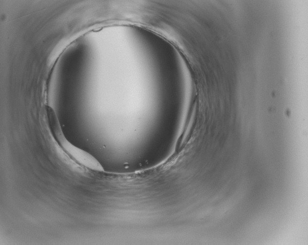 X0000073901524200608111117